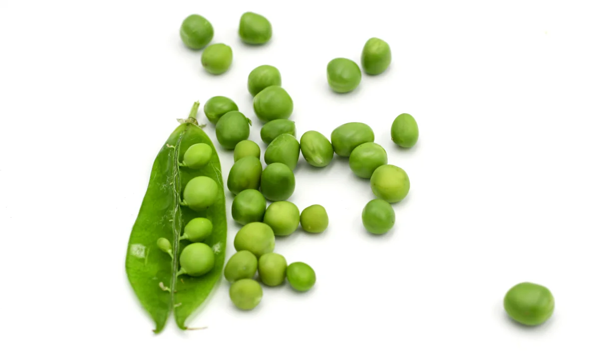 green peas as an alternative to pigeon peas