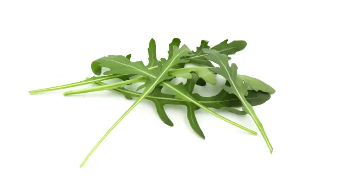 13 Substitutes for Arugula: a World of Leafy Greens