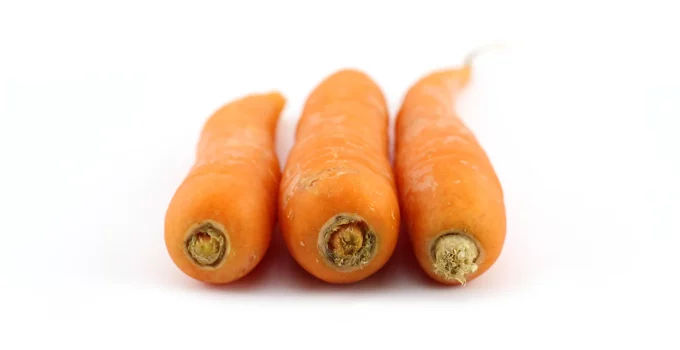 Substitutes for Carrots for all Recipes (Desserts Included)