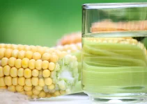15 Best Substitutes for Corn Oil: Vegetable Oils & Animal Fats