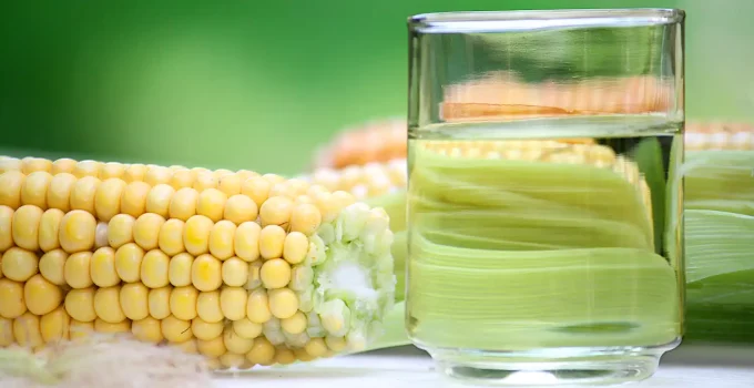 corn oil substitutes and alternatives