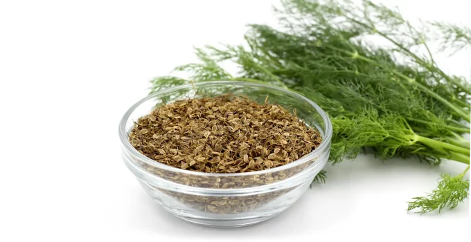 Dill Seed vs Dill Weed: Differences and Similarities