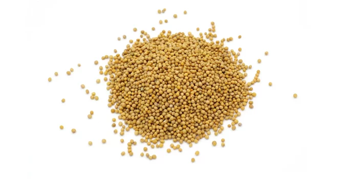substitutes to mustard seeds in cooking