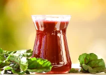 6 Best Juicers for Beets Reviews