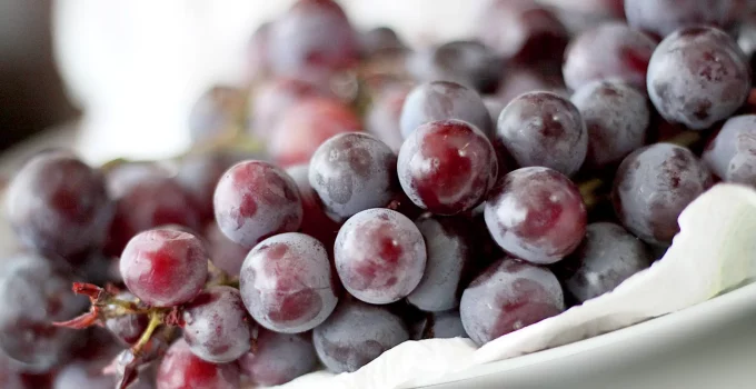 grapes for juicing