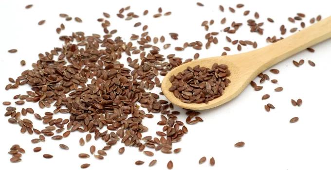 flax seeds grinder