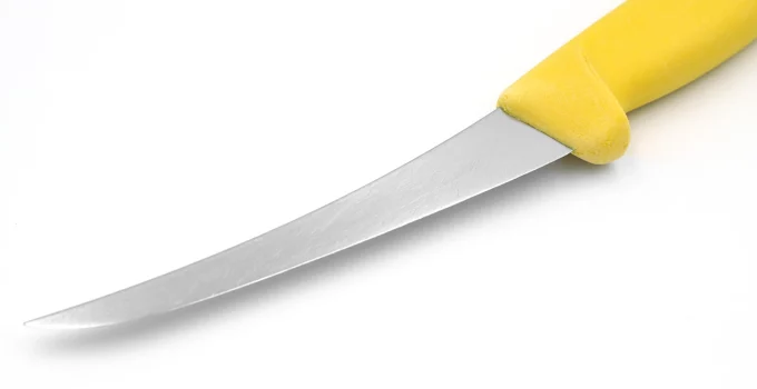 6 Best Fillet Knives for Salmon Reviews
